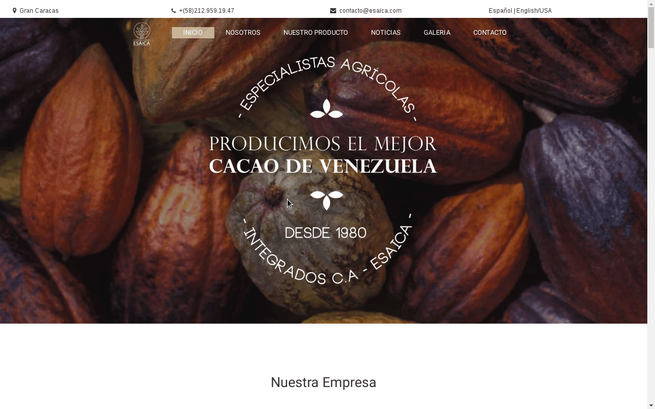 Catalogo Online
